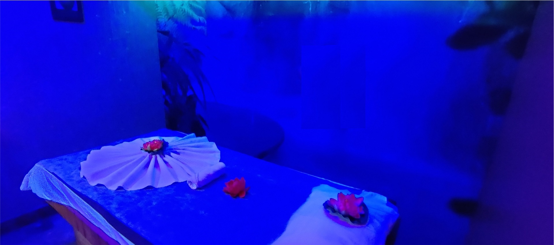 Kiyora Spa Jaipur